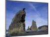 Sea Stacks along Shores of Olympic National Park, Washington, USA-Paul Souders-Mounted Photographic Print