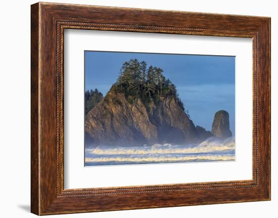 Sea stacks and waves at first light on Rialto Beach in Olympic National Park, Washington State, USA-Chuck Haney-Framed Photographic Print