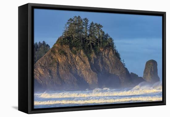 Sea stacks and waves at first light on Rialto Beach in Olympic National Park, Washington State, USA-Chuck Haney-Framed Premier Image Canvas