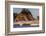 Sea stacks and waves on Rialto Beach, Olympic National Park, Washington State, USA-Chuck Haney-Framed Photographic Print