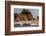 Sea stacks and waves on Rialto Beach, Olympic National Park, Washington State, USA-Chuck Haney-Framed Photographic Print