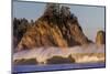 Sea stacks and waves on Rialto Beach, Olympic National Park, Washington State, USA-Chuck Haney-Mounted Photographic Print