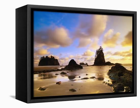 Sea Stacks Off Second Beach-Ron Watts-Framed Premier Image Canvas
