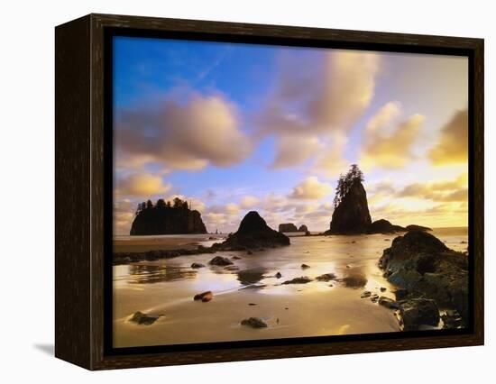 Sea Stacks Off Second Beach-Ron Watts-Framed Premier Image Canvas