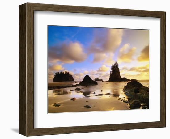 Sea Stacks Off Second Beach-Ron Watts-Framed Photographic Print