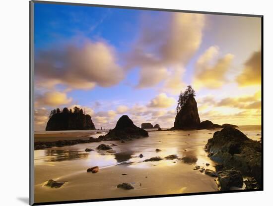 Sea Stacks Off Second Beach-Ron Watts-Mounted Photographic Print