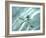 Sea Star Abstract-Georgienne Bradley-Framed Photographic Print