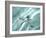 Sea Star Abstract-Georgienne Bradley-Framed Photographic Print