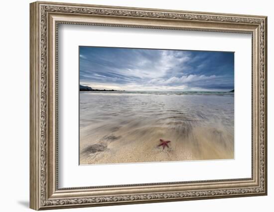 Sea Star in the Clear Water of the Fine Sandy Beach, Skagsanden, Ramberg-Roberto Moiola-Framed Photographic Print