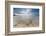 Sea Star in the Clear Water of the Fine Sandy Beach, Skagsanden, Ramberg-Roberto Moiola-Framed Photographic Print