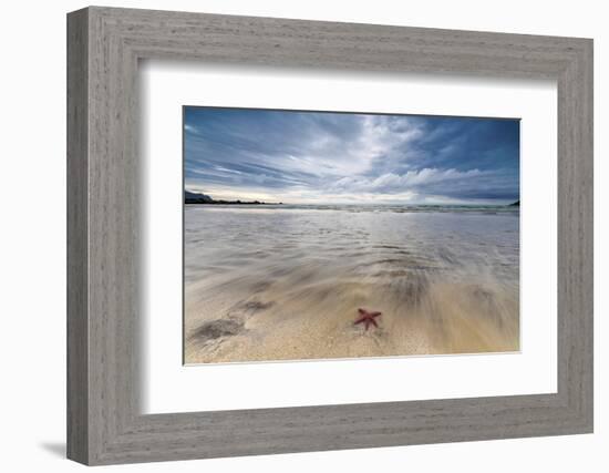 Sea Star in the Clear Water of the Fine Sandy Beach, Skagsanden, Ramberg-Roberto Moiola-Framed Photographic Print