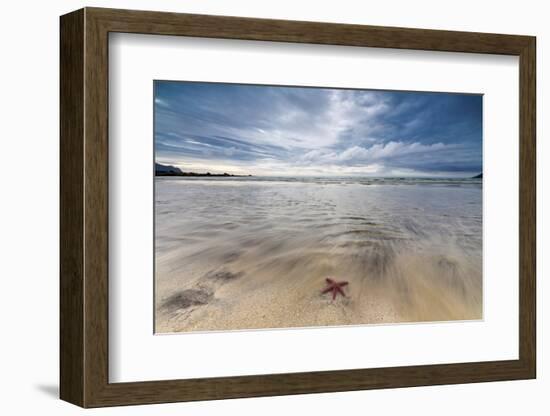 Sea Star in the Clear Water of the Fine Sandy Beach, Skagsanden, Ramberg-Roberto Moiola-Framed Photographic Print