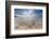 Sea Star in the Clear Water of the Fine Sandy Beach, Skagsanden, Ramberg-Roberto Moiola-Framed Photographic Print