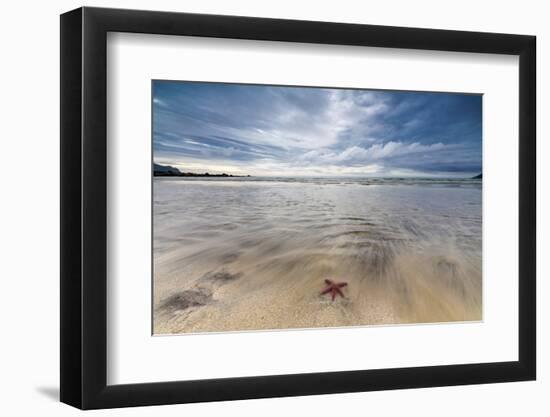 Sea Star in the Clear Water of the Fine Sandy Beach, Skagsanden, Ramberg-Roberto Moiola-Framed Photographic Print