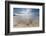 Sea Star in the Clear Water of the Fine Sandy Beach, Skagsanden, Ramberg-Roberto Moiola-Framed Photographic Print