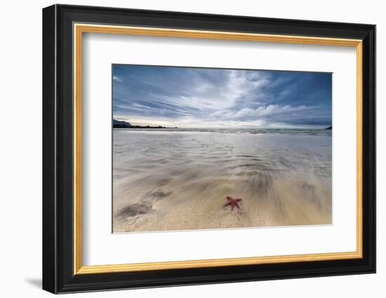 Sea Star in the Clear Water of the Fine Sandy Beach, Skagsanden, Ramberg-Roberto Moiola-Framed Photographic Print