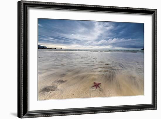 Sea Star in the Clear Water of the Fine Sandy Beach, Skagsanden, Ramberg-Roberto Moiola-Framed Photographic Print