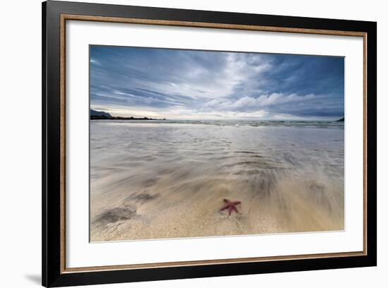 Sea Star in the Clear Water of the Fine Sandy Beach, Skagsanden, Ramberg-Roberto Moiola-Framed Photographic Print