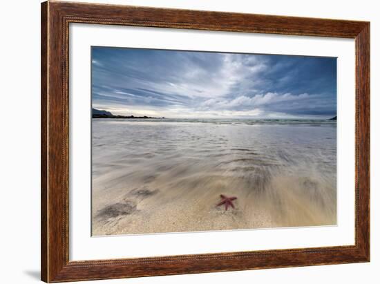 Sea Star in the Clear Water of the Fine Sandy Beach, Skagsanden, Ramberg-Roberto Moiola-Framed Photographic Print