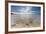 Sea Star in the Clear Water of the Fine Sandy Beach, Skagsanden, Ramberg-Roberto Moiola-Framed Photographic Print