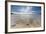 Sea Star in the Clear Water of the Fine Sandy Beach, Skagsanden, Ramberg-Roberto Moiola-Framed Photographic Print