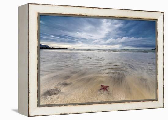 Sea Star in the Clear Water of the Fine Sandy Beach, Skagsanden, Ramberg-Roberto Moiola-Framed Premier Image Canvas