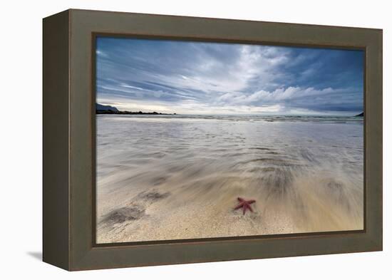 Sea Star in the Clear Water of the Fine Sandy Beach, Skagsanden, Ramberg-Roberto Moiola-Framed Premier Image Canvas