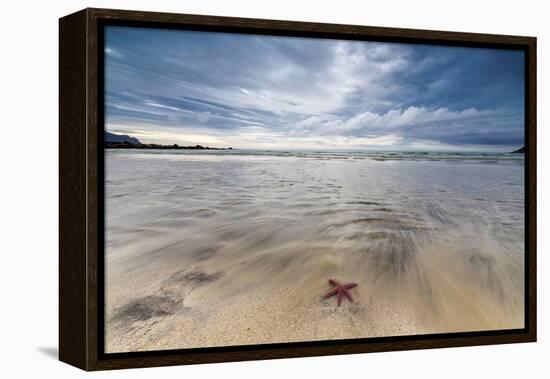 Sea Star in the Clear Water of the Fine Sandy Beach, Skagsanden, Ramberg-Roberto Moiola-Framed Premier Image Canvas