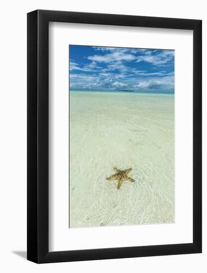 Sea Star in the Sand on the Rock Islands, Palau, Central Pacific-Michael Runkel-Framed Photographic Print