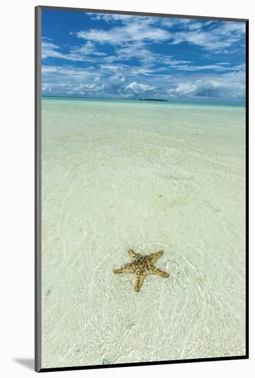 Sea Star in the Sand on the Rock Islands, Palau, Central Pacific-Michael Runkel-Mounted Photographic Print
