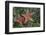 Sea Star-Lynn M^ Stone-Framed Photographic Print