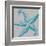 Sea Stars I-Sabine Berg-Framed Art Print