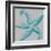 Sea Stars I-Sabine Berg-Framed Art Print