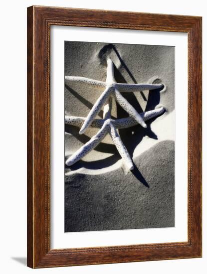 Sea Stars I-Alan Hausenflock-Framed Photographic Print