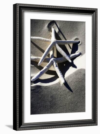 Sea Stars I-Alan Hausenflock-Framed Photographic Print