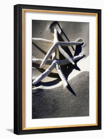 Sea Stars I-Alan Hausenflock-Framed Photographic Print