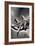 Sea Stars II-Alan Hausenflock-Framed Photographic Print