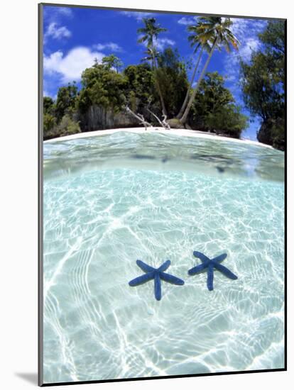 Sea Stars, Rock Islands, Palau-Michael DeFreitas-Mounted Photographic Print