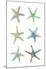 Sea Stars-Sandra Jacobs-Mounted Giclee Print