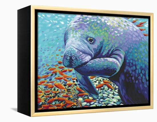 Sea Sweetheart II-Carolee Vitaletti-Framed Stretched Canvas