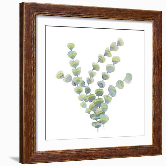 Sea Tangle I-Sandra Jacobs-Framed Giclee Print