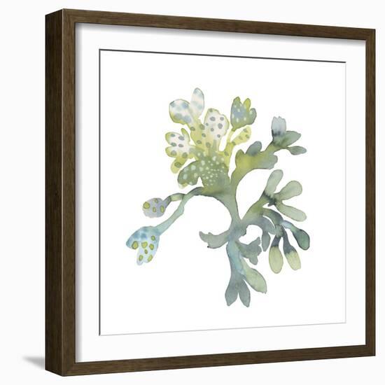 Sea Tangle II-Sandra Jacobs-Framed Giclee Print