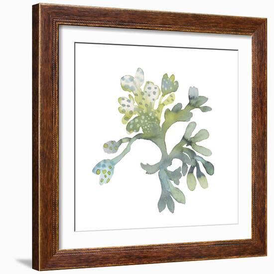 Sea Tangle II-Sandra Jacobs-Framed Giclee Print