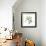 Sea Tangle II-Sandra Jacobs-Framed Giclee Print displayed on a wall