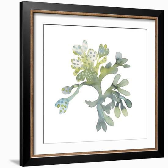 Sea Tangle II-Sandra Jacobs-Framed Giclee Print