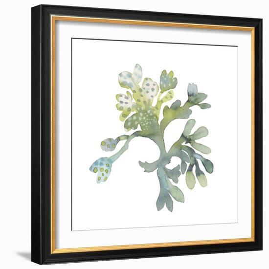 Sea Tangle II-Sandra Jacobs-Framed Giclee Print