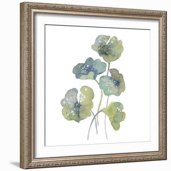 Sea Tangle III-Sandra Jacobs-Framed Giclee Print