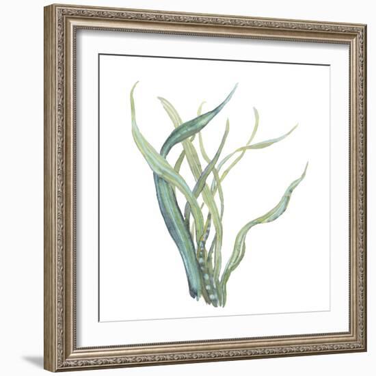 Sea Tangle IV-Sandra Jacobs-Framed Giclee Print