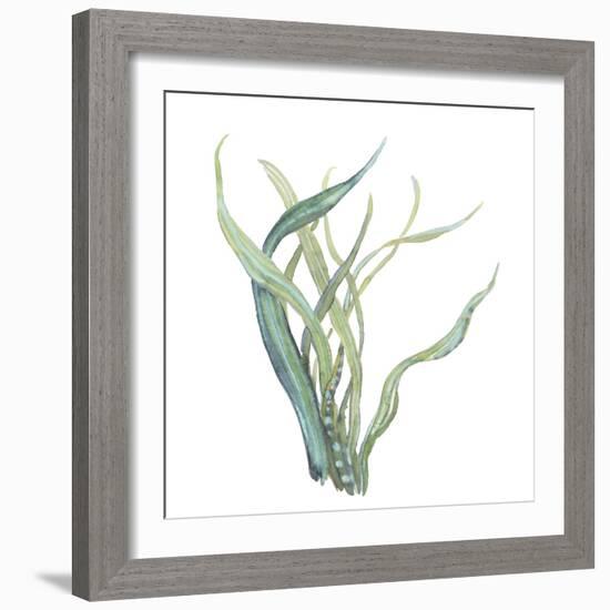 Sea Tangle IV-Sandra Jacobs-Framed Giclee Print