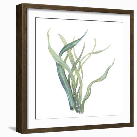Sea Tangle IV-Sandra Jacobs-Framed Giclee Print